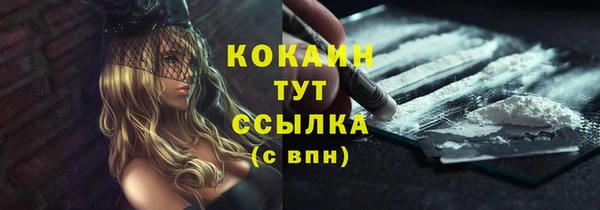 мескалин Богородицк