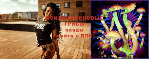 дживик Белокуриха