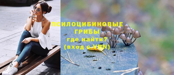 героин Богданович